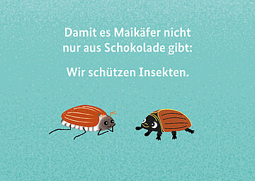 Maikäfer: Damit es Maikäfer nicht nur aus Schokolade gibt: Wir schützen Insekten.. Weitere Informationen siehe Bildunterschrift