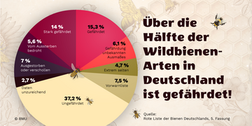 Inhalt der Infografik wird in der Beschreibung erläutert. Weitere Informationen siehe Bildunterschrift