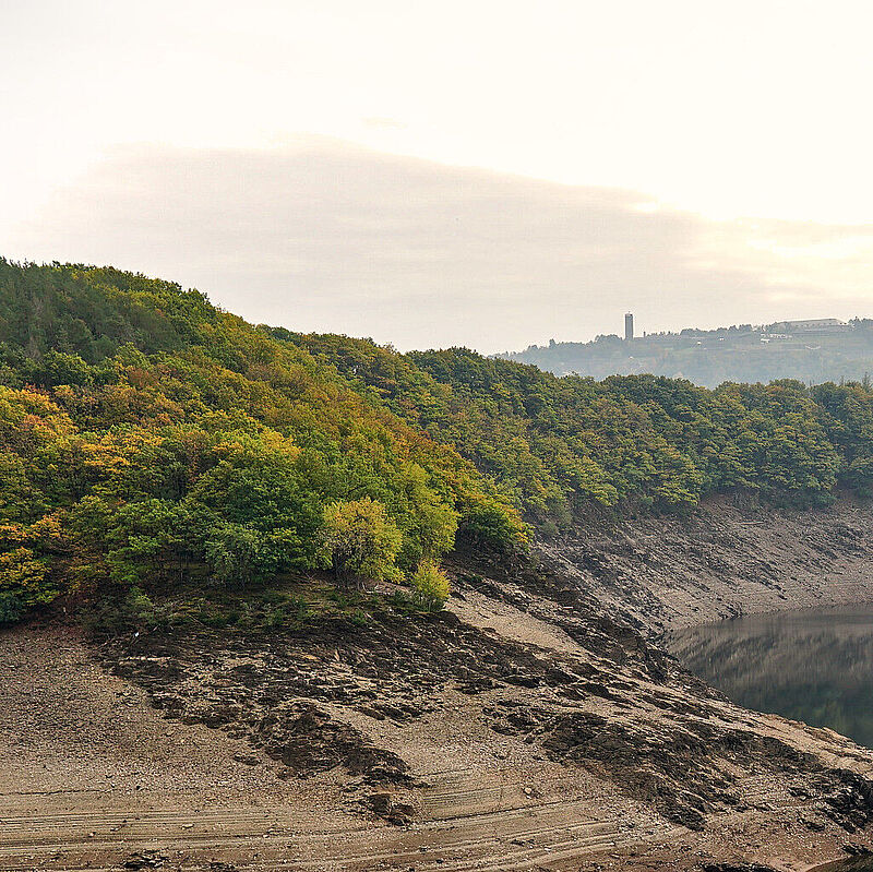 See mit Wald im Hintergrund.