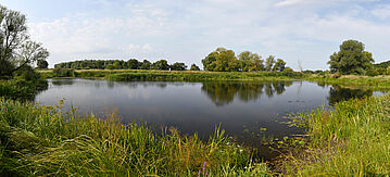 Nationalpark Unteres Odertal