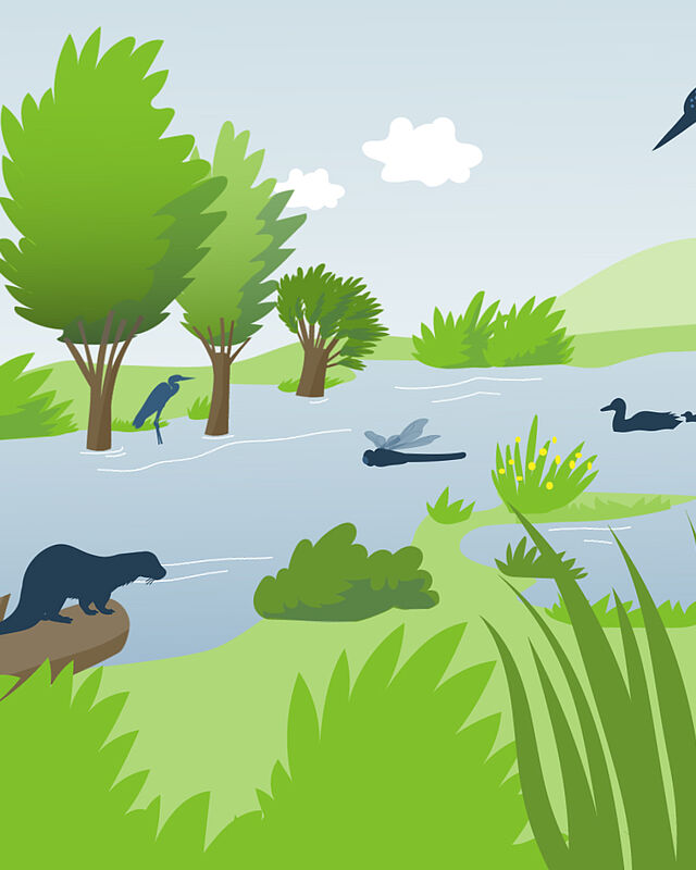 Fluss-Auen und Klimaschutz – hängt das zusammen?