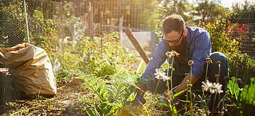 Mann bei der Gartenarbeit