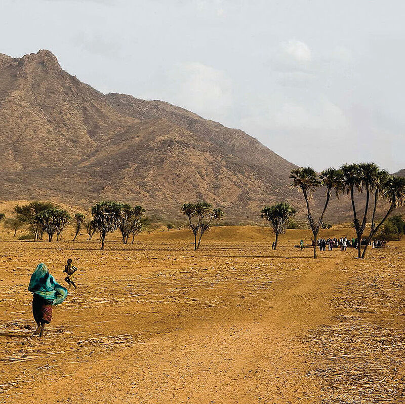 Savannenlandschaft im Chad