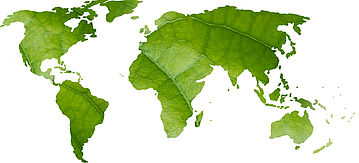 Weltkarte aus grünen Blättern