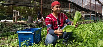Kleinbauer im Beet Thailand
