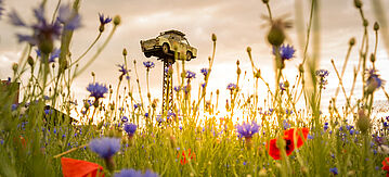 Aufgepfählter Trabant in Neuruppin