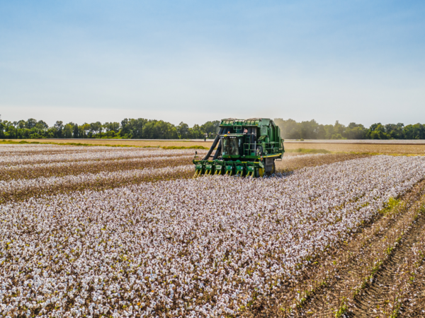 Landwirtschaftliches Fahrzeug fährt auf Feld.