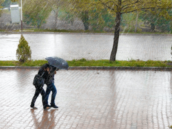 Zwei Menschen gehen mit Regenschirm durch den strömenden Regen. 