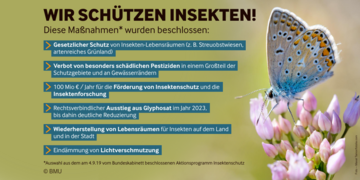 Ein Schmetterling auf einer Blume, Text mit Maßnahmen zum Aktionsprogramm Insektenschutz. Weitere Informationen siehe Bildunterschrift