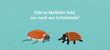 Kampagnenmotiv Maikäfer. Weitere Informationen siehe Bildunterschrift