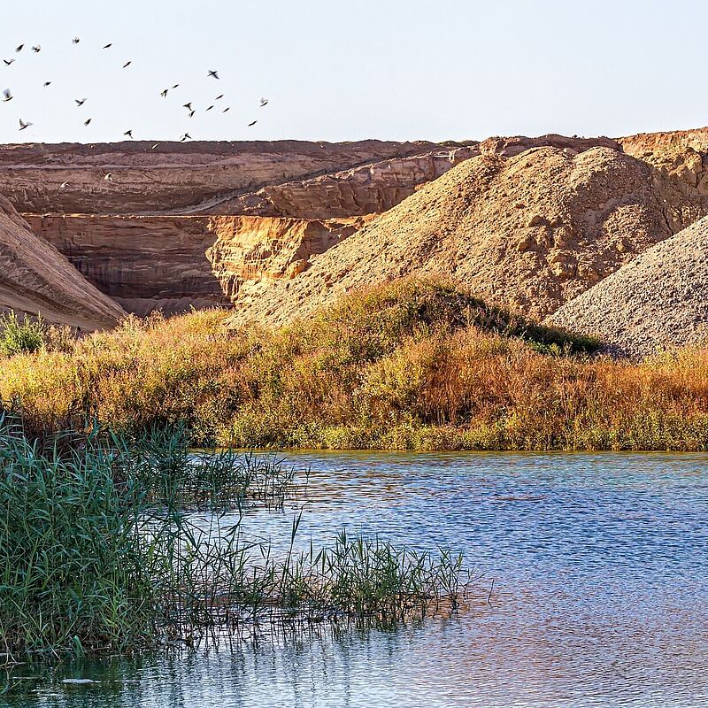Eine renaturierte Grube