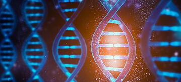 DNA-Stränge - Doppelhelix