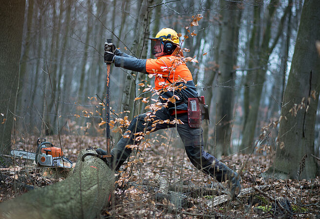 Ein Forstwirt arbeitet im Wald an einem gefällten Baum.