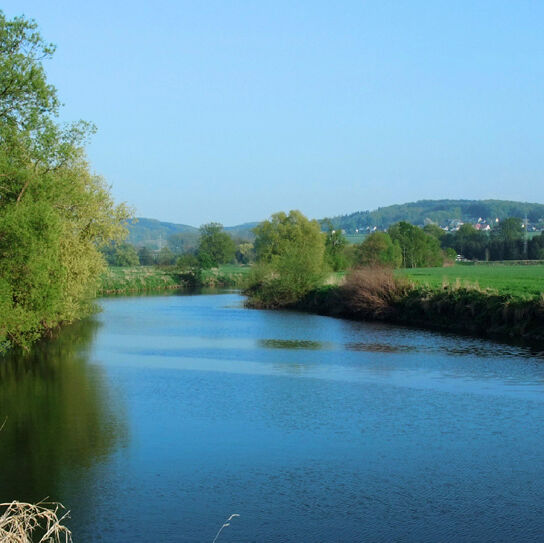 Fluss und Ufer mit vereinzelten Bäumen