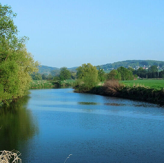 Fluss und Ufer mit vereinzelten Bäumen