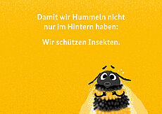 Damit wir Hummeln nicht nur im Hintern haben: Wir schützen Insekten