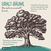 Illustrierter Baum