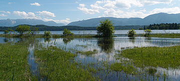 Eine Landschaft mit feuchten Wiesen und Bergen im Hintergrund. Zwei Logos sind zu sehen: Im Auftrag Bundesministerium für Umwelt, Klimaschutz, Naturschutz und nukleare Sicherheit so-wie Aktionsprogramm Natürlicher Klimaschutz. Auf der Linke Seite ich eine Ankündigung als Banner auf grünem Hintergrund: Natur stärken – Klima schützen, ANK-Themenwoche 07.-14. Oktober 2026