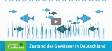 Vorschaubild zum Video illustriert: Unterwasser und Fische
