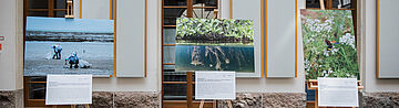 Ausstellung Biodiversität