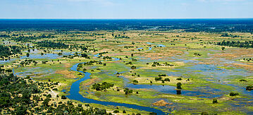Das Okavango-Delta in Botswana ist ein sehr großes, sumpfiges Binnendelta, das dort entstanden ist, wo der Okavango-Fluss eine tektonische Senke im zentralen Teil des endorheischen Beckens der Kalahari erreicht.
