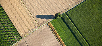 Luftaufnahme eines Feldes