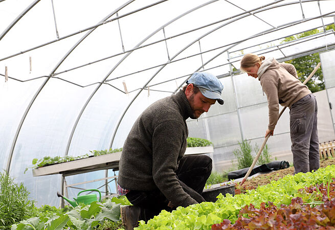 Zwei Gärtner*innen arbeiten in einem Gewächshaus.