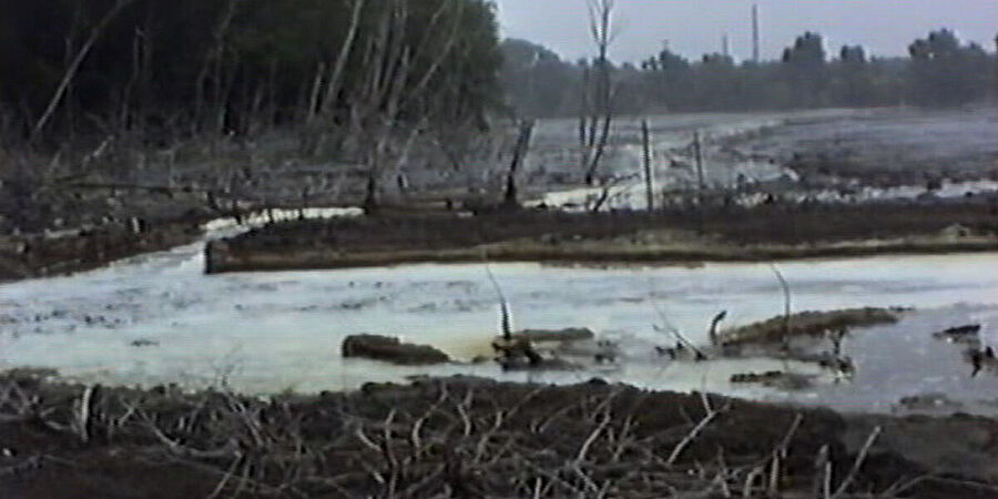 Becken mit schäumendem Abwasser, im Vordergrund und im Wasser stehen abgestorbene Büsche und Bäume