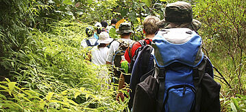 Wandergruppe in der Natur